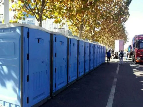 大丰镇音乐节移动卫生间出租